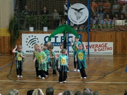 Obrázek v galerii