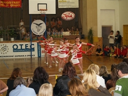 Obrázek v galerii