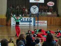 Obrázek v galerii