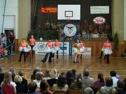 Obrázek v galerii