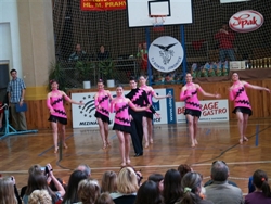 Obrázek v galerii