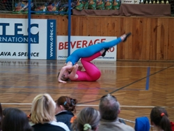 Obrázek v galerii