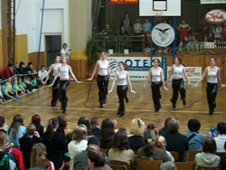 Obrázek v galerii
