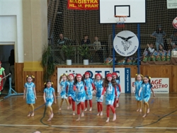 Obrázek v galerii