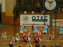 Obrázek v galerii