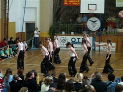 Obrázek v galerii