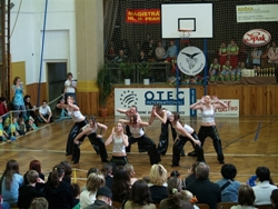 Obrázek v galerii