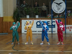 Obrázek v galerii