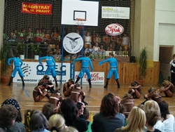 Obrázek v galerii