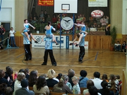Obrázek v galerii