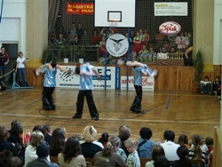 Obrázek v galerii