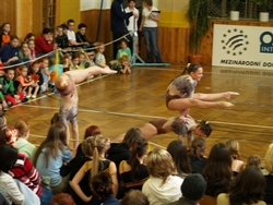 Obrázek v galerii