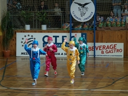 Obrázek v galerii