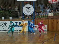 Obrázek v galerii