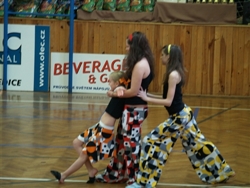 Obrázek v galerii