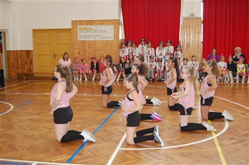 Obrázek v galerii