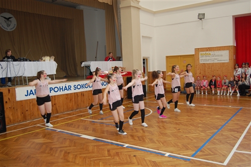 Obrázek v galerii