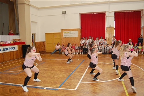 Obrázek v galerii