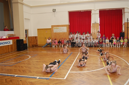 Obrázek v galerii