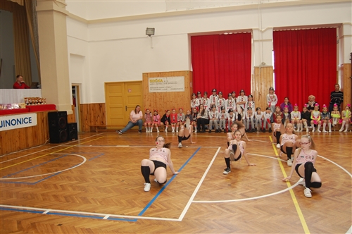 Obrázek v galerii