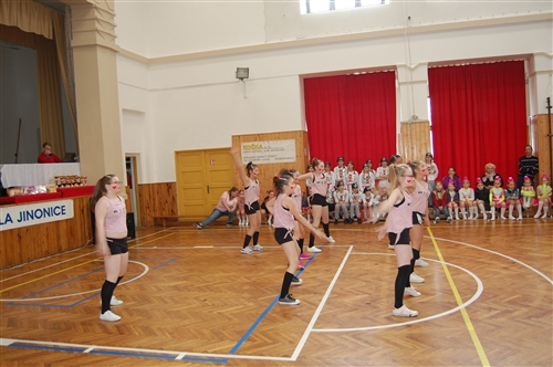 Obrázek v galerii