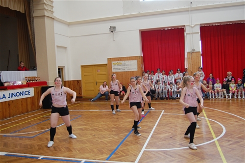 Obrázek v galerii