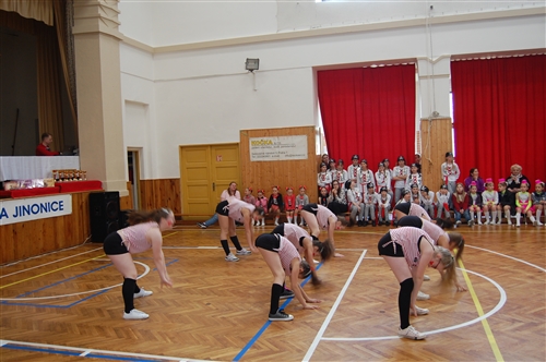 Obrázek v galerii