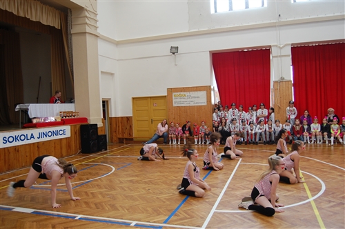 Obrázek v galerii
