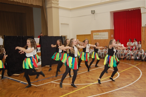 Obrázek v galerii