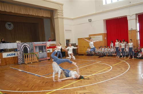 Obrázek v galerii