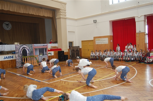 Obrázek v galerii