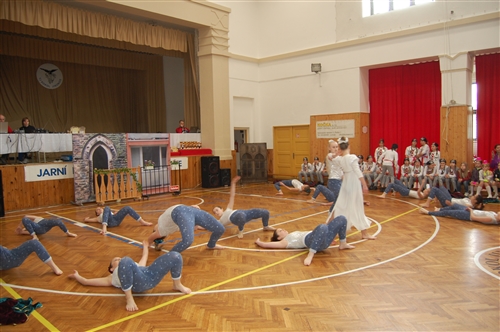 Obrázek v galerii