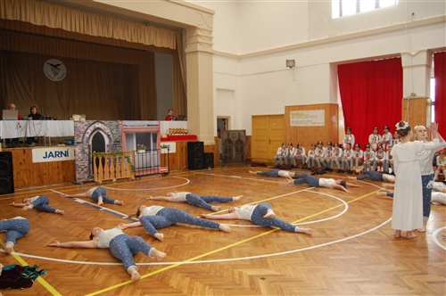 Obrázek v galerii