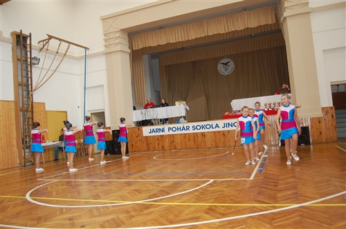 Obrázek v galerii