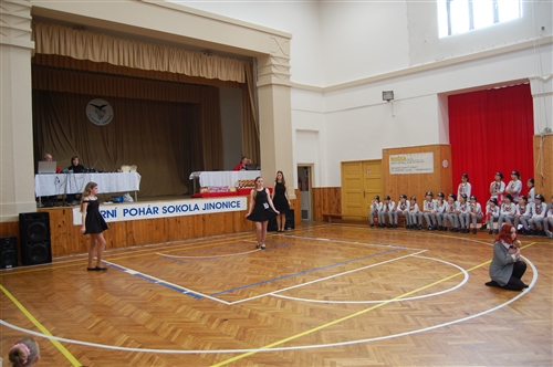 Obrázek v galerii