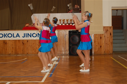 Obrázek v galerii