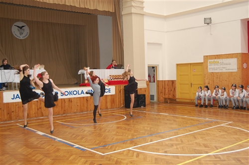 Obrázek v galerii