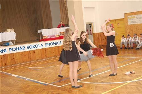 Obrázek v galerii