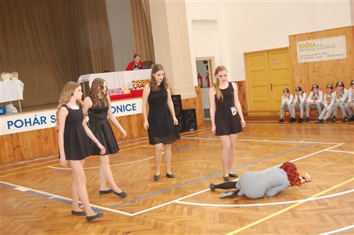 Obrázek v galerii