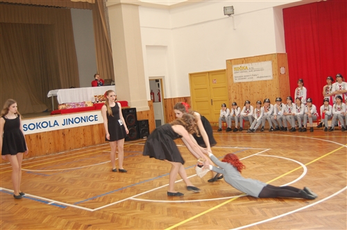 Obrázek v galerii