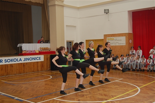Obrázek v galerii