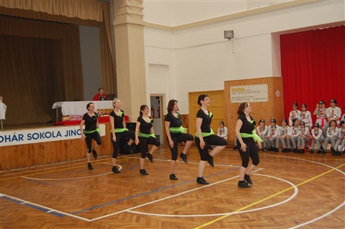 Obrázek v galerii