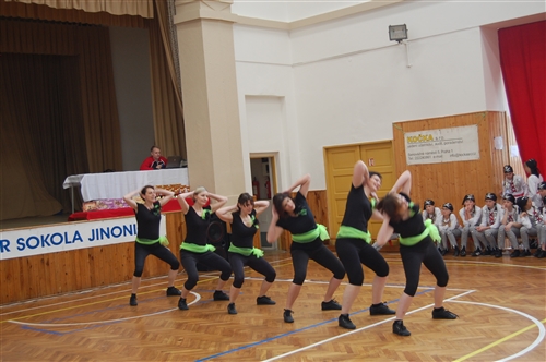 Obrázek v galerii