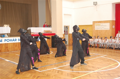 Obrázek v galerii