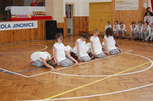 Obrázek v galerii