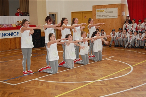 Obrázek v galerii