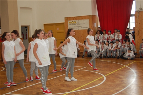 Obrázek v galerii