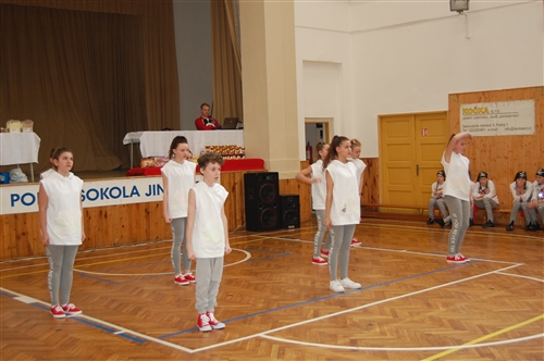Obrázek v galerii