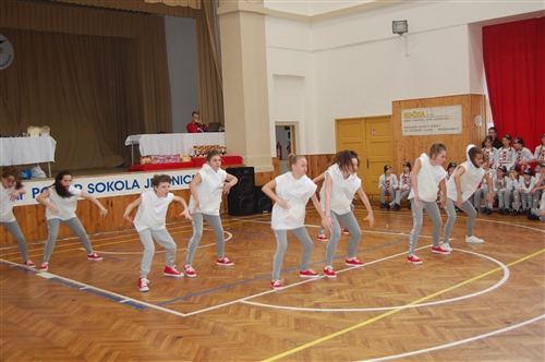 Obrázek v galerii