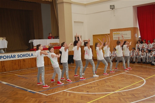 Obrázek v galerii